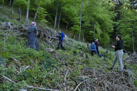 Od Gvavske peči do Zalipja (4)